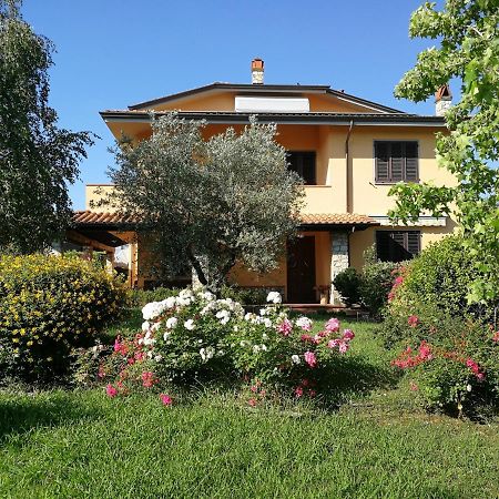 Mansarda Sulla Francigena Bed & Breakfast Altopascio Exterior photo